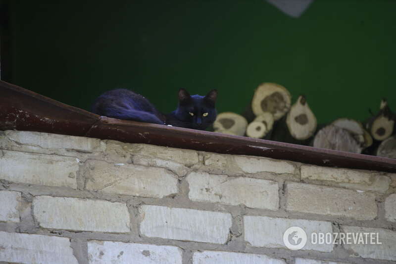 Украинский Краматорск живет под обстрелами