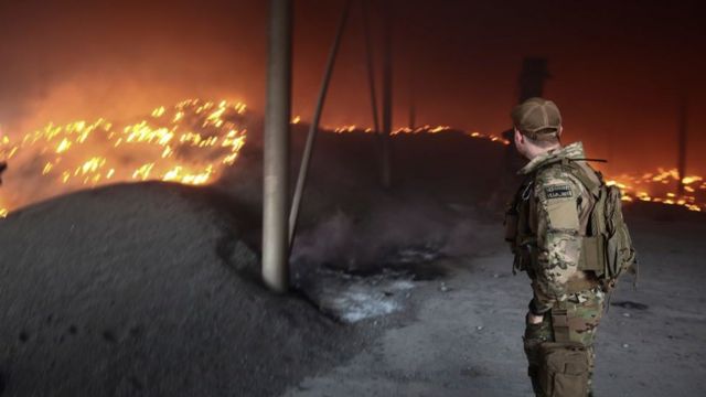 Урожай подсолнечника на донецкой ферме после обстрела dqxikeidqxidqeant