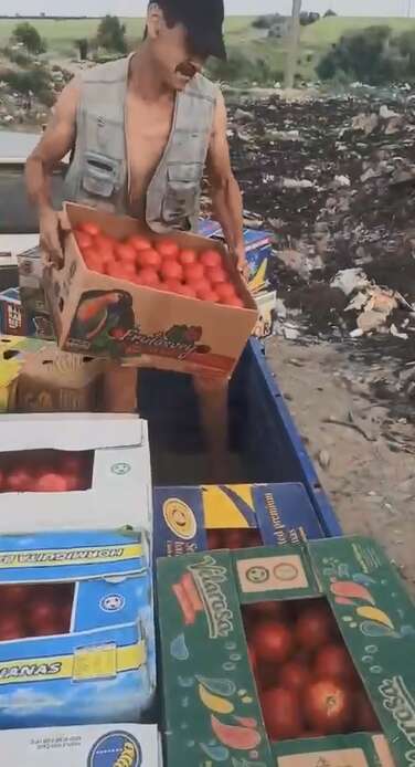 Выброшенные овощи в Васильевке dqxikeidqxidqeant