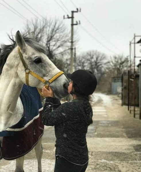 КСК "Виртуоз" разрушен dqxikeidqxidqrant