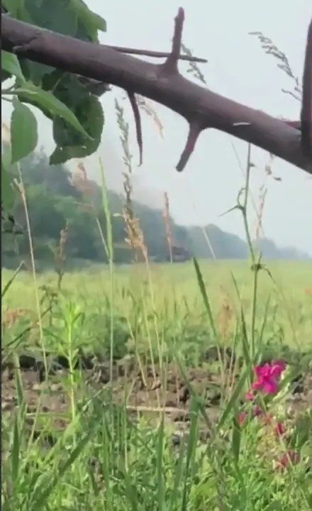 Уничтоженный российский танк dqxikeidqxidqrant