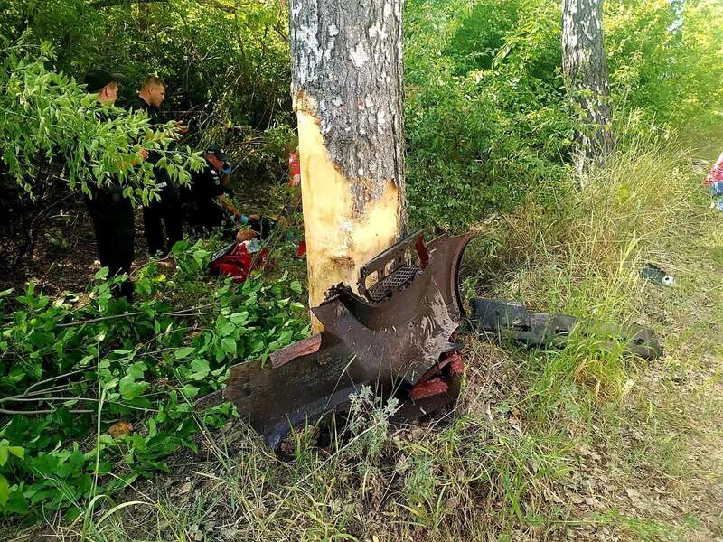 Легковушка на скорости протаранила дерево.