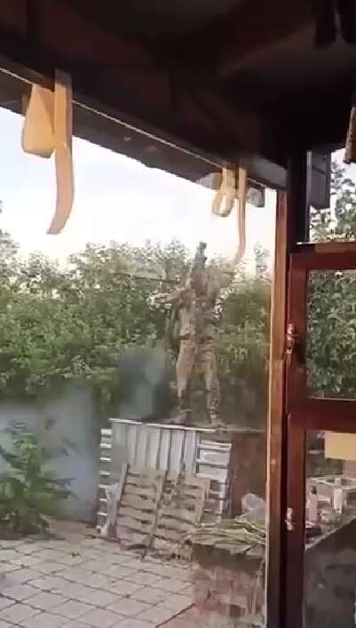     Stinger. dqxikeidqxidqrant