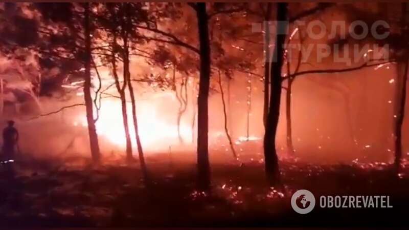В районе курортного турецкого города Мармарис вспыхнул лесной пожар dqxikeidqxidqrant