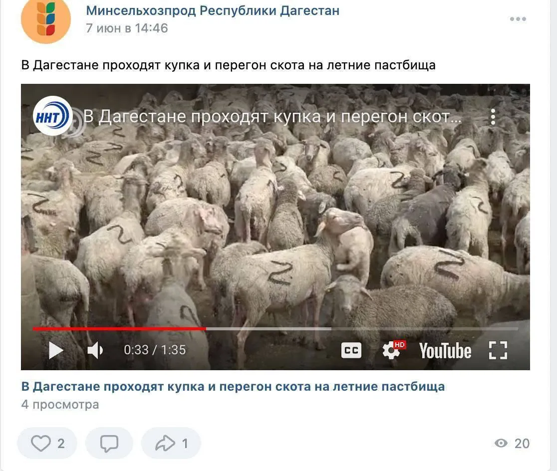 Скриншот dqxikeidqxidqeant