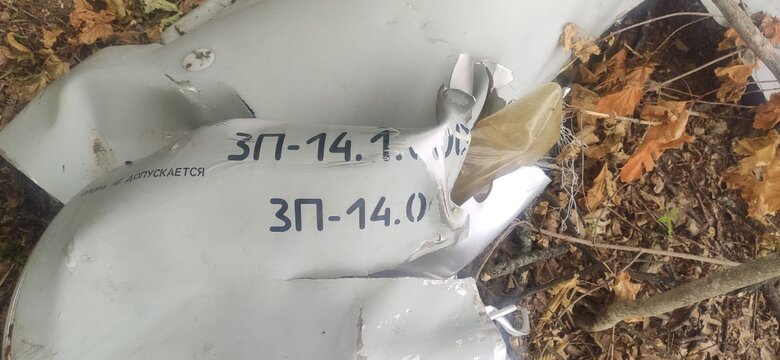Лісничі на Вінниччині виявили ворожу крилату ракету Калібр, збиту засобами ППО 05