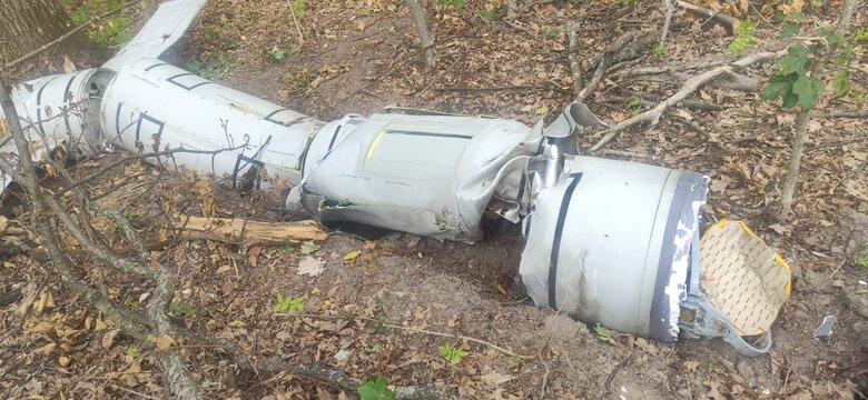 Лісничі на Вінниччині виявили ворожу крилату ракету Калібр, збиту засобами ППО 06