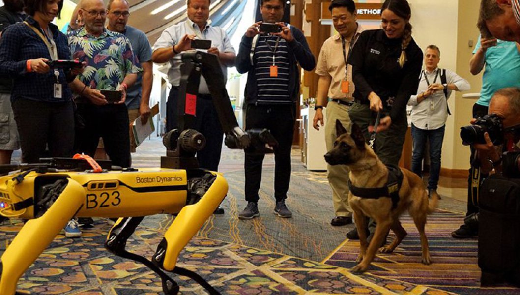 - Spot       Boston Dynamics dqxikeidqxidqrant