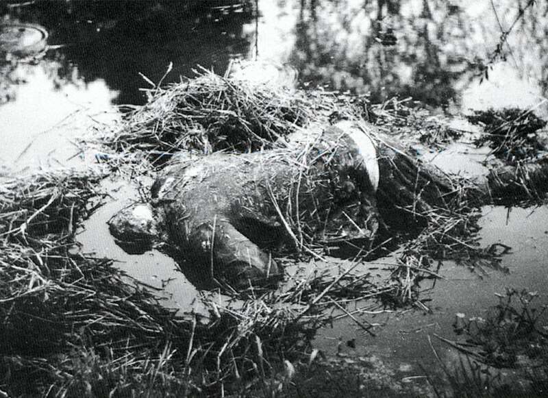 2.jpg dqxikeidqxidtant