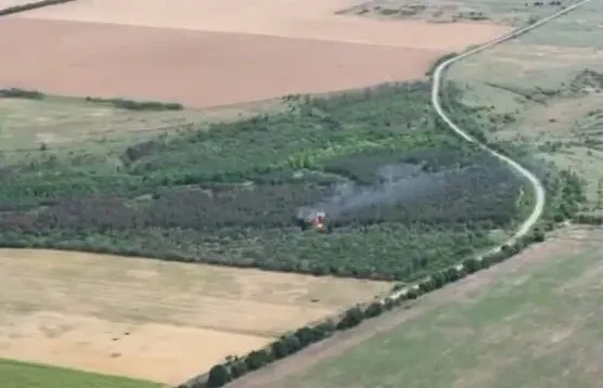        777 dqxikeidqxidqeant