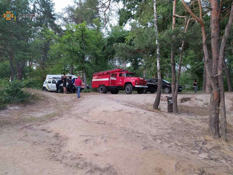 Обстоятельства трагедии установит полиция. dqxikeidqxidqeant