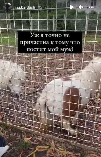 Елизавета Бардаш заверила, что не имеет отношения к позиции мужа dqxikeidqxidqeant