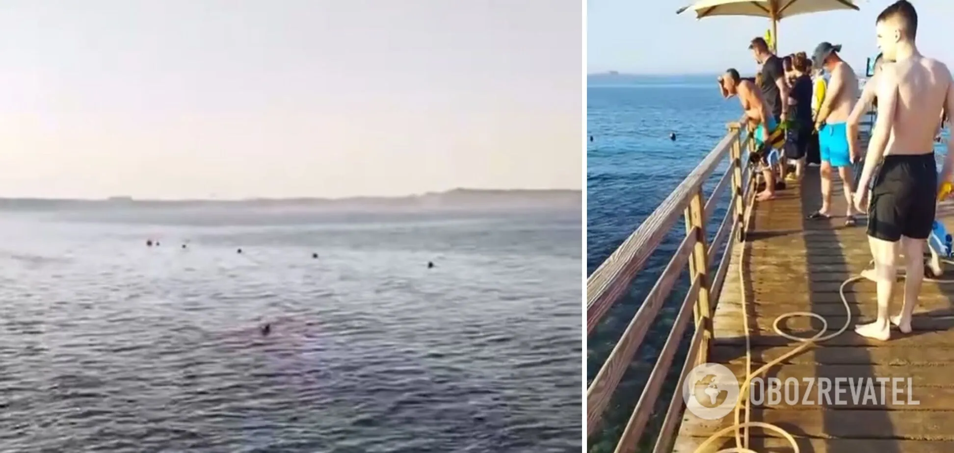 Пострадавшую спасли из пасти хищника, однако она скончалась в больнице