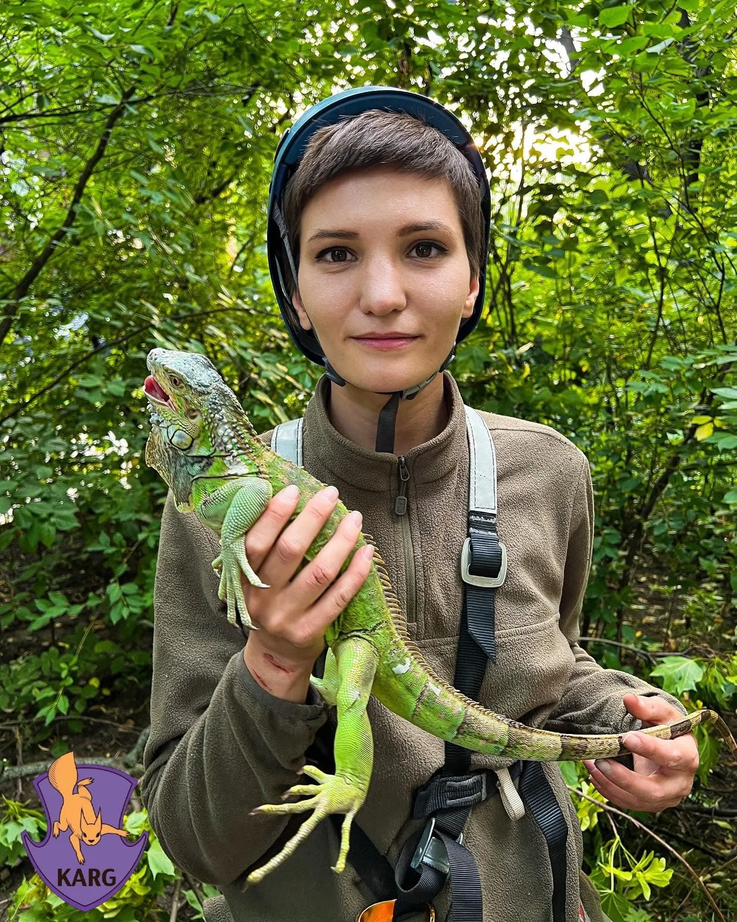 Девушка-спасатель спустила ящерицу вниз.