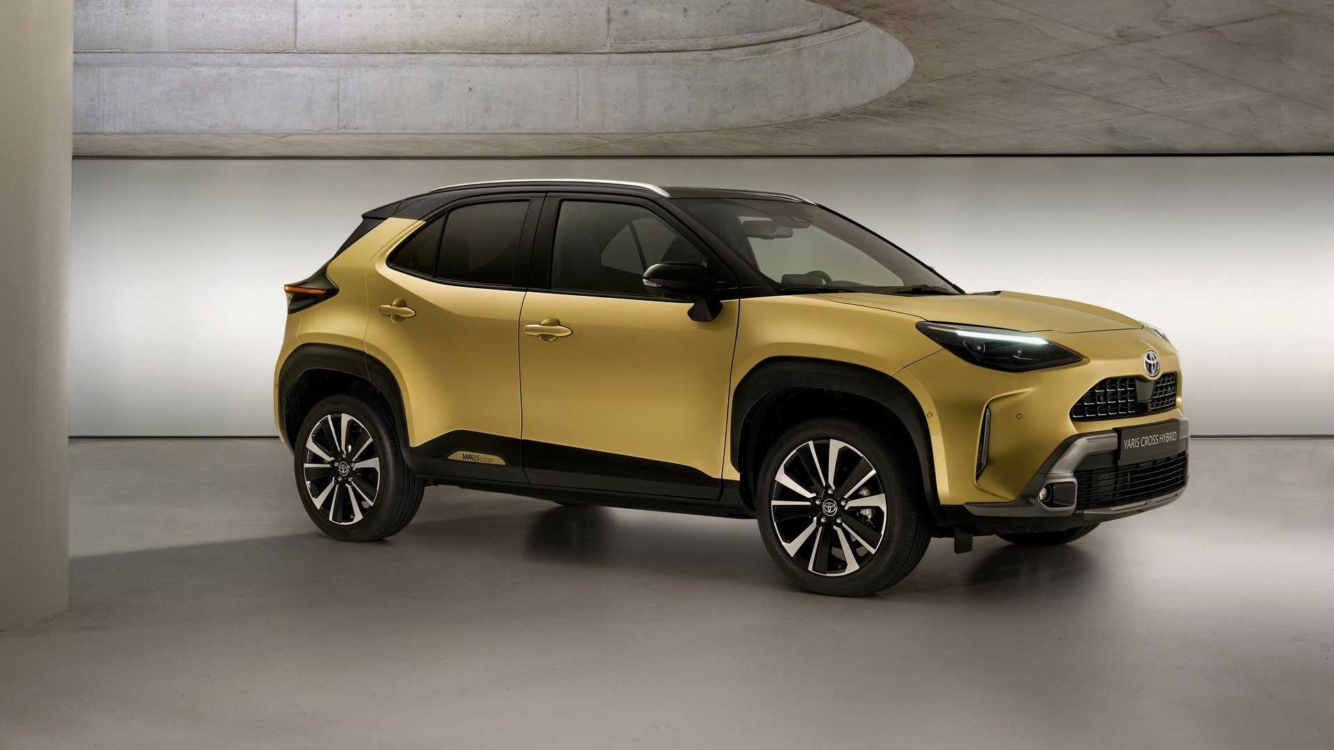 Назван украинский город, в котором чаще всего покупают новые автомобили dqxikeidqxiqqeant