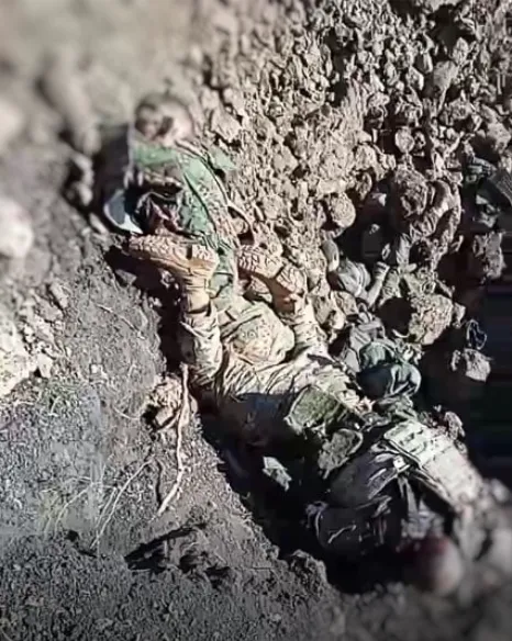 Ликвидированные украинскими воинами наемники dqxikeidqxidqrant