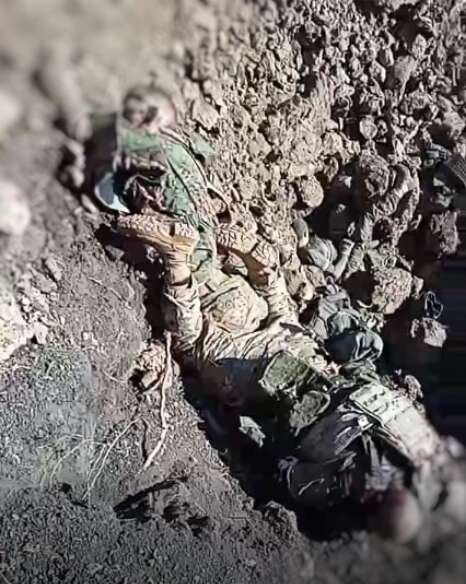 ˳    dqxikeidqxiqzuant