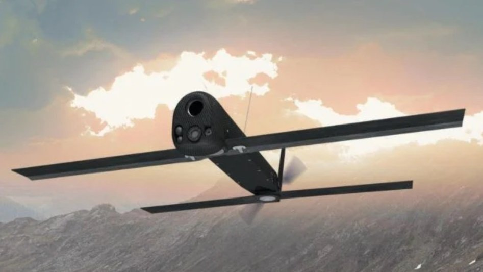 Phoenix Ghost dqxikeidqxidqrant