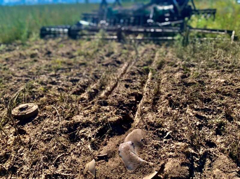 На деокупованих територіях роботи з розмінування ще не закінчено.