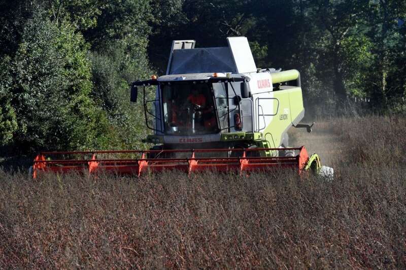 ,   ,   dqxikeidqxidqrant