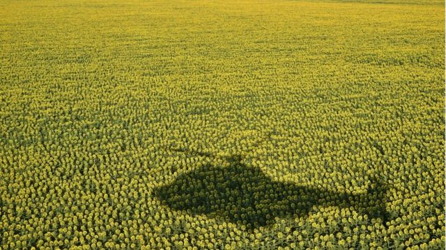 Ukraine dqxikeidqxidqrant