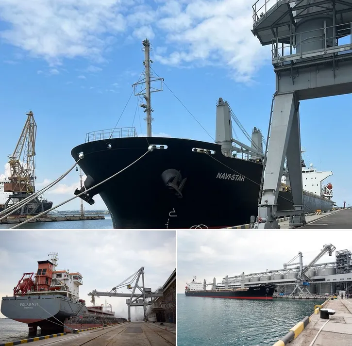 Відправлення нових суден з українським зерном очікується вже 5 серпня dqxikeidqxidqrant