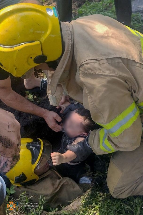        / ©  dqxikeidqxidqrant