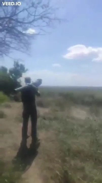 Через мгновение до точного выстрела dqxikeidqxidqrant