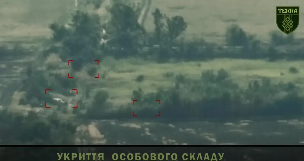 Захватчики пытались спрятаться в кустах