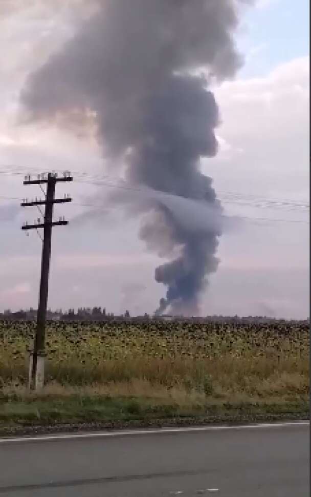 Скріншот із відео / © dqxikeidqxidqeant