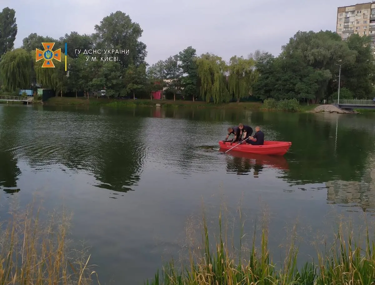       :    dqxikeidqxidqeant