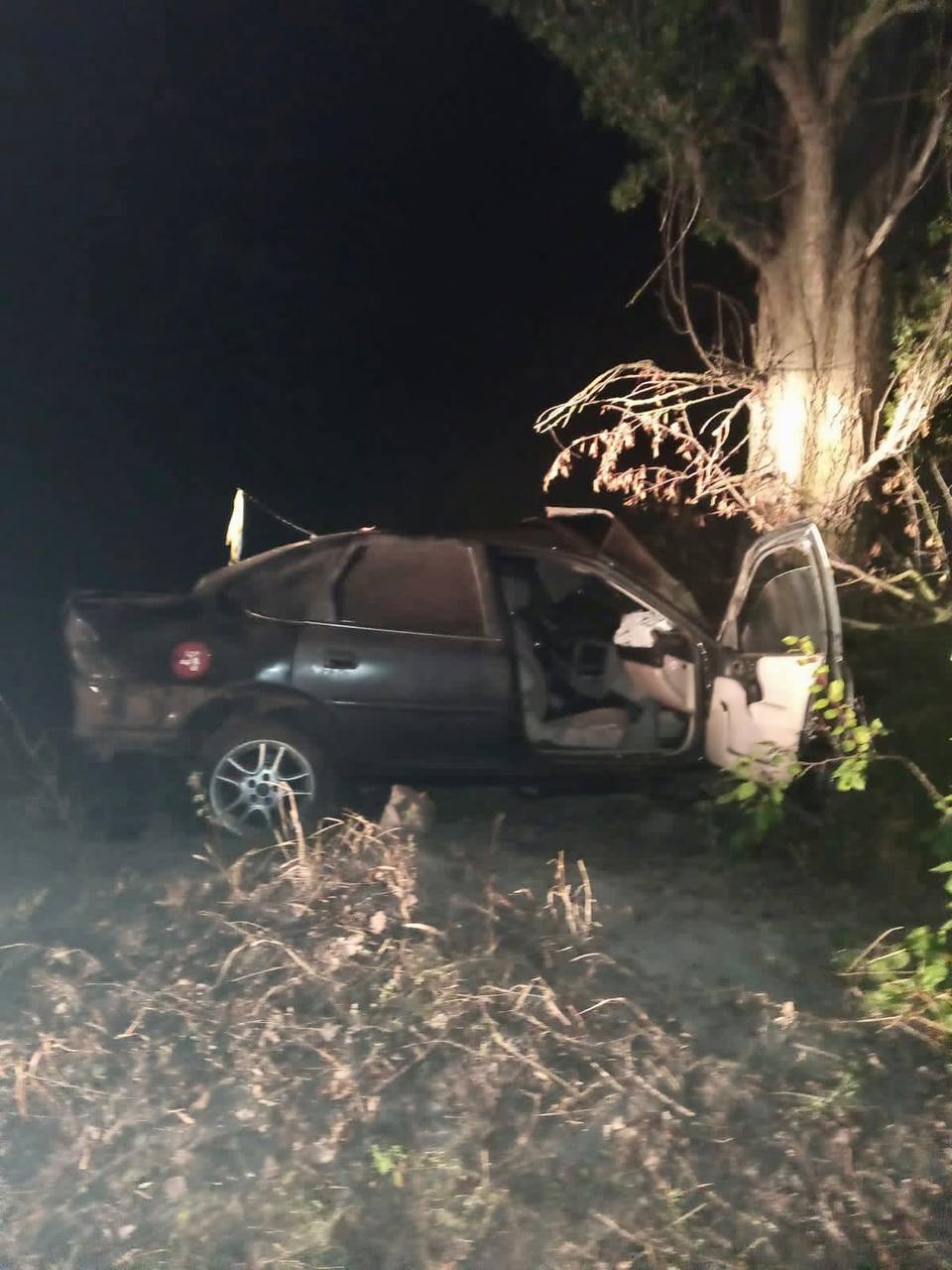 На Київщині легковик з’їхав у кювет і протаранив дерево: є загиблий та постраждалі. Фото dqxikeidqxiqrkant