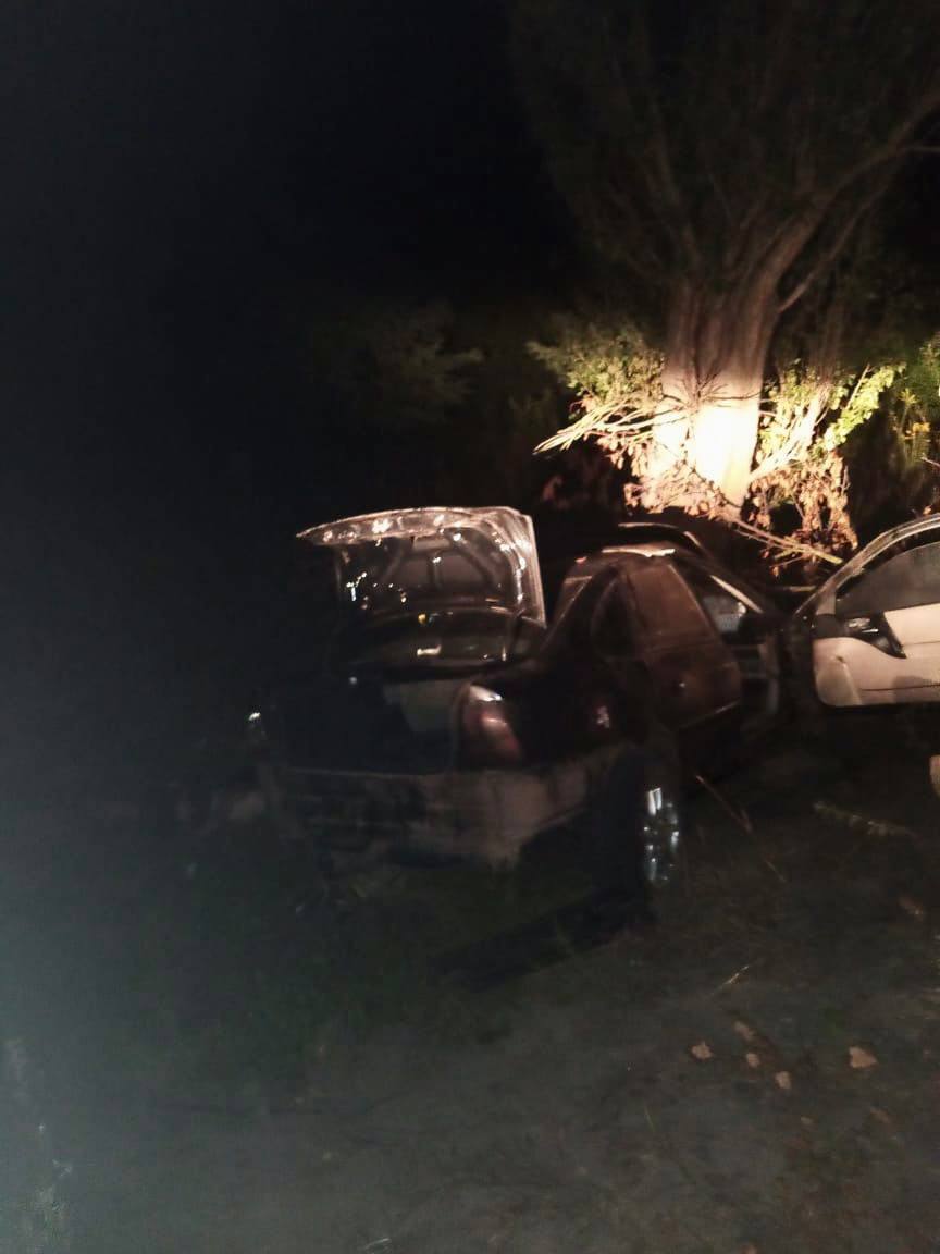 На Київщині легковик з’їхав у кювет і протаранив дерево: є загиблий та постраждалі. Фото