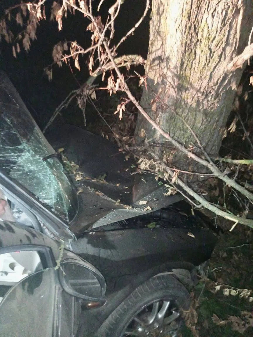 На Київщині легковик з’їхав у кювет і протаранив дерево: є загиблий та постраждалі. Фото