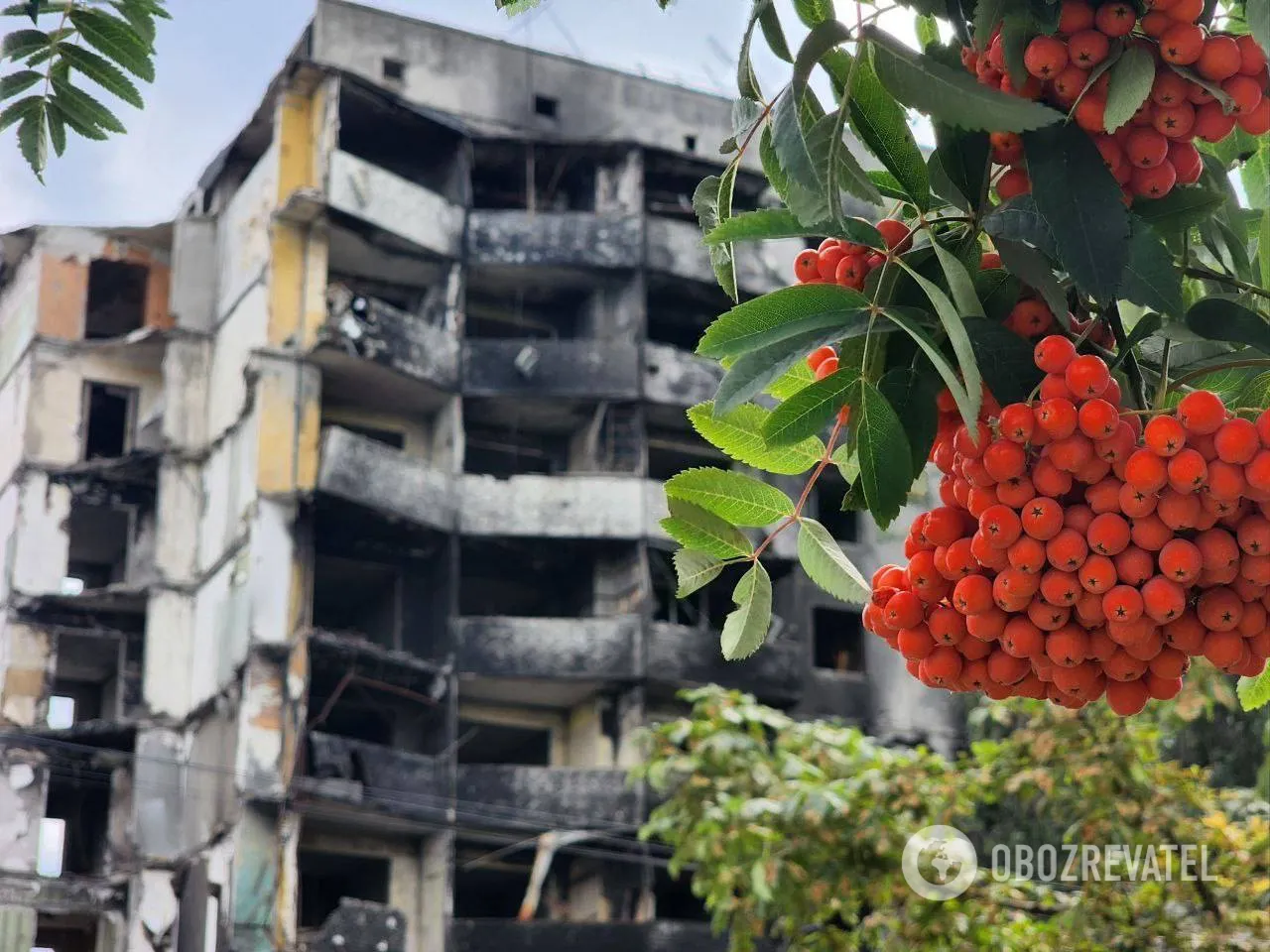 Как сейчас выглядит Бородянка, в которой зверствовали оккупанты. Фото и видео