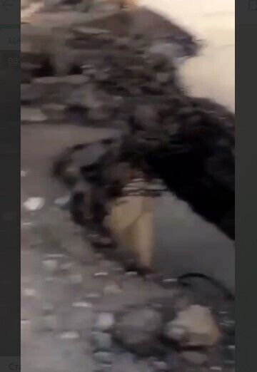 На мосту видно наскрізні дірки. dqxikeidqxidqrant