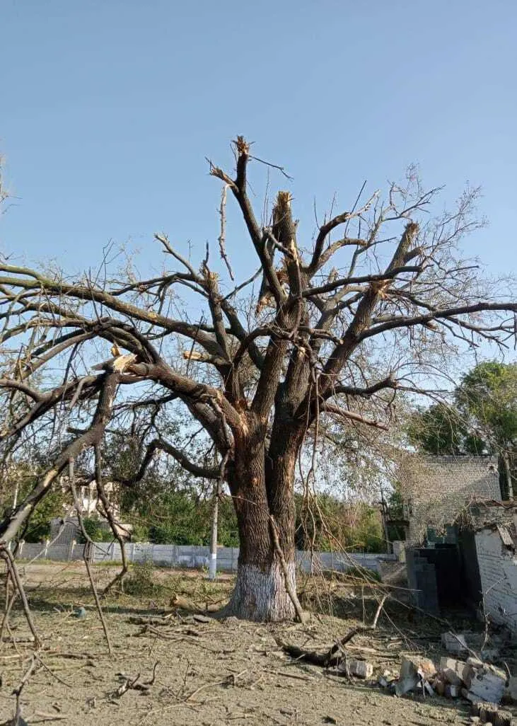 Войска РФ высокоточной ракетой уничтожили общественный туалет в Херсонской области. Фото dqxikeidqxidqeant