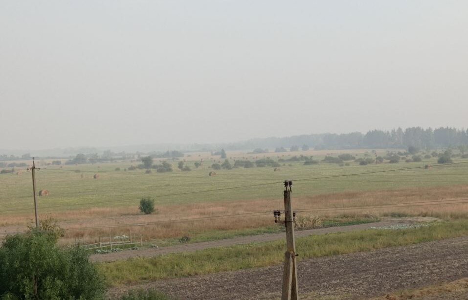 У Києві та області відчувається запах гару: що відомо dqxikeidqxidqrant