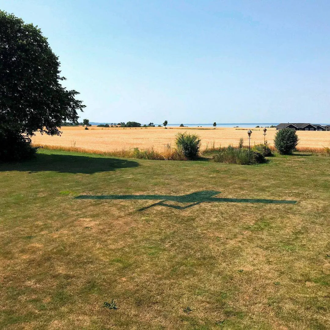 Український скульптор створив 80-метрову тінь літака "Мрія" на пшеничному полі в Данії. Фото