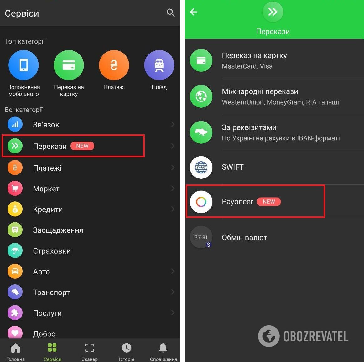       Payoneer dqxikeidqxiqetant