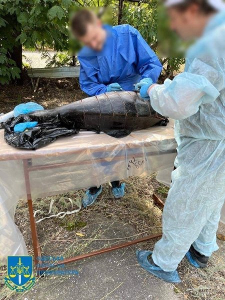  ,   , ,  ,  ,  dqxikeidqxidqrant