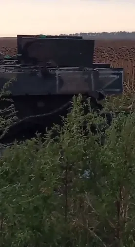 ’’,   ’’:        . ³ 