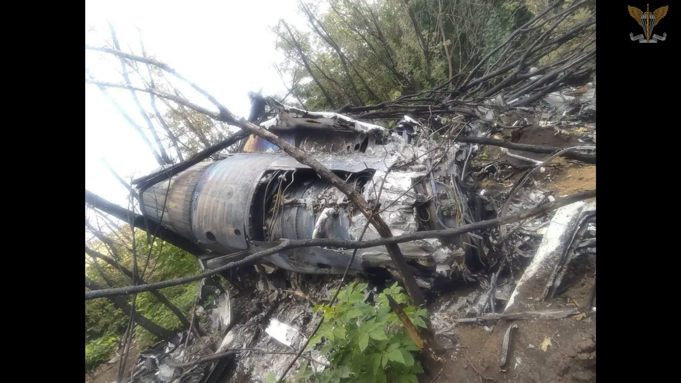 Десантники 80-й ОДШБр сбили российский самолет Су-30