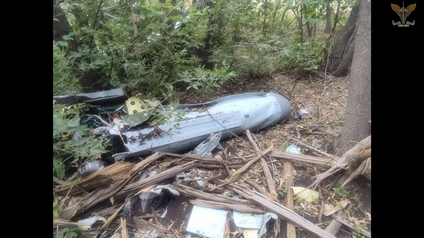 Десантники 80-ї ОДШБр збили російський літак Су-30