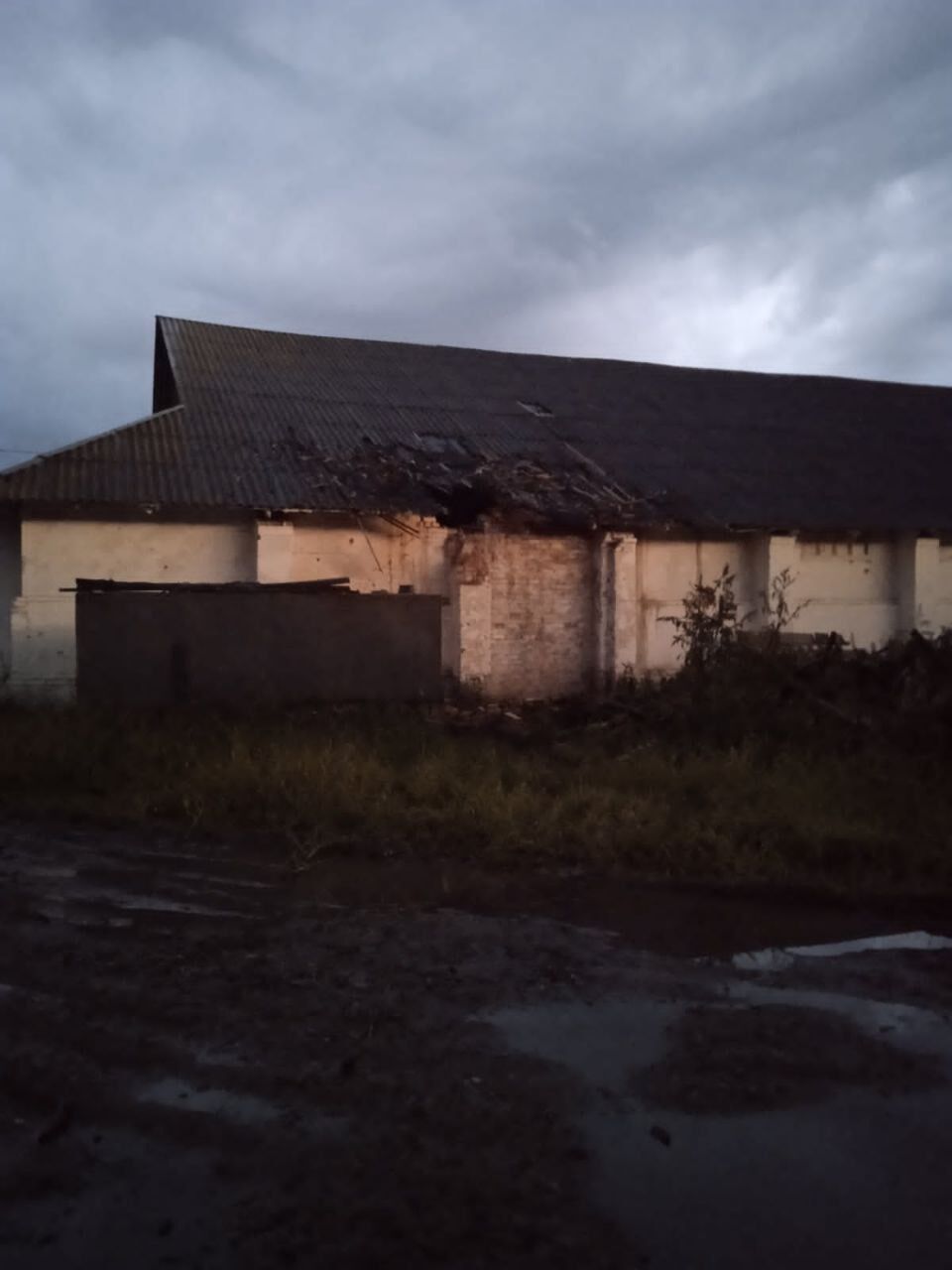 Окупанти обстріляли свиноферму на Сумщині: загинув чоловік та понад 100 голів свиней. Фото dqxikeidqxidqeant