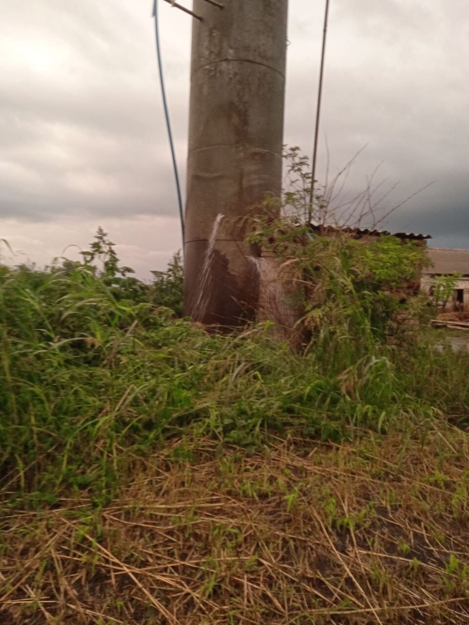 Окупанти обстріляли свиноферму на Сумщині: загинув чоловік та понад 100 голів свиней. Фото