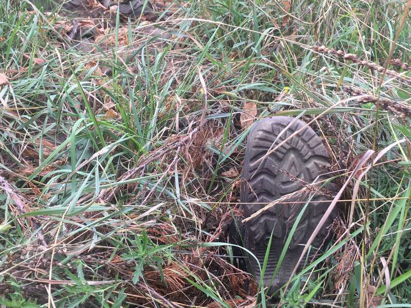            ,     . :   / Spektr.press dqxikeidqxidqrant