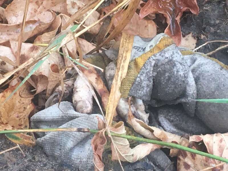                 ,     .   /Spektr.Press