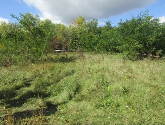 На Житомирщині зниклу студентку знайшли вбитою: стало відомо подробиці