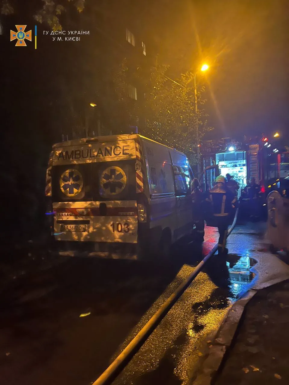           :   䳿 dqxikeidqxiqdzant